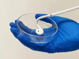 substitut osseux putty powerbone bonegraft