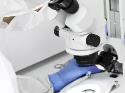 recherche bonegraft