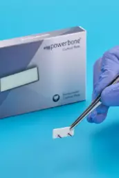 substitut osseux plaque corticale powerbone bonegraft