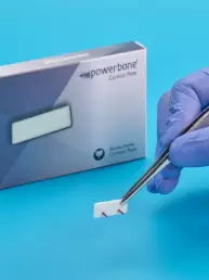 substitut osseux plaque corticale powerbone bonegraft