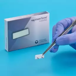 substitut osseux plaque corticale powerbone bonegraft