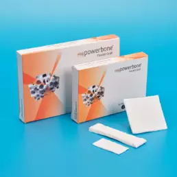 substitut osseux flexible powerbone bonegraft